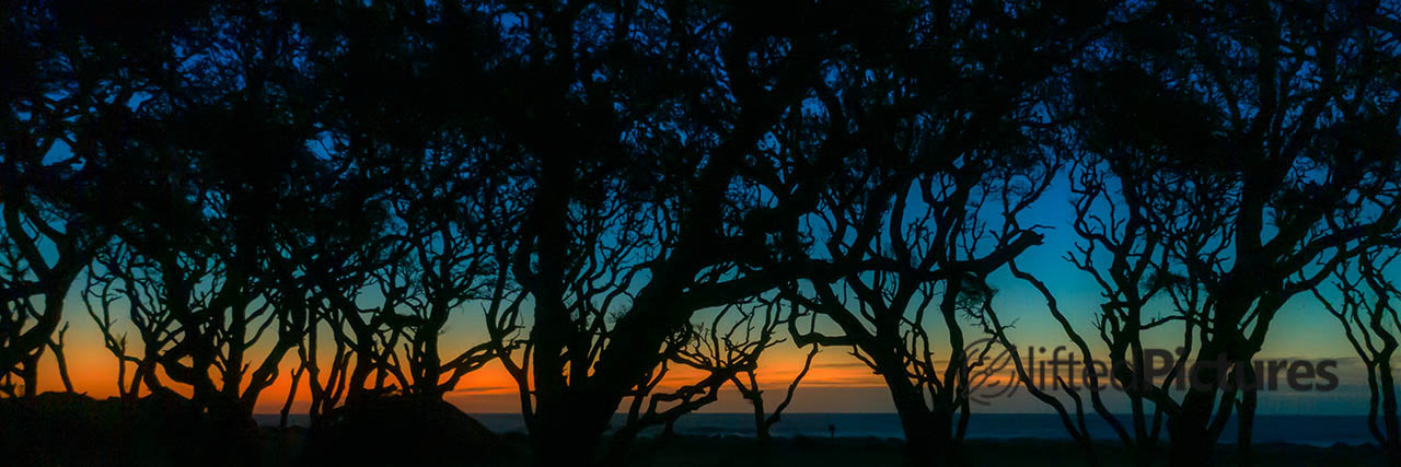 Civil Twilight Panorama fine art print