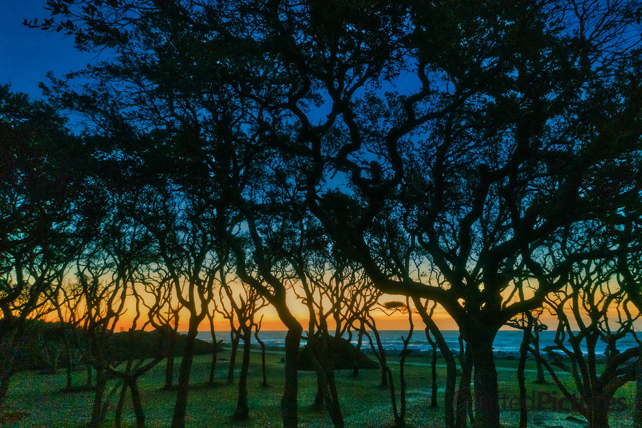 Ghosts of Fort Fisher fine art print